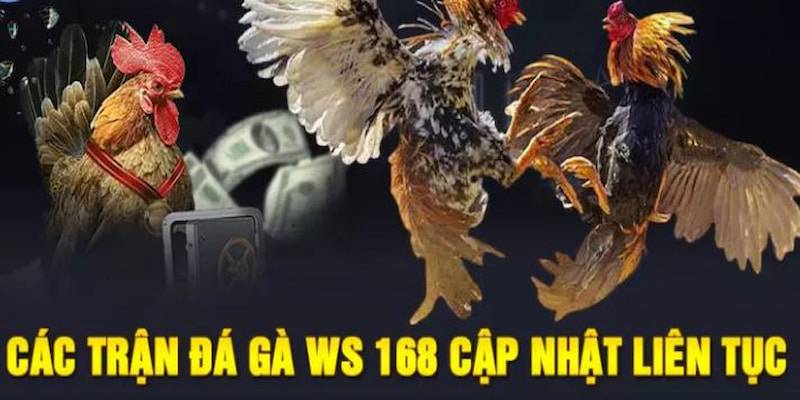 Sanh-cuoc-ga-WS168-vo-cung-dang-cap
