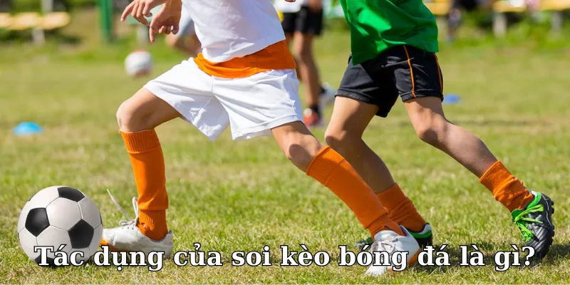 Soi-keo-bong-da-vo-cung-huu-dung-doi-voi-nguoi-choi-ca-cuoc